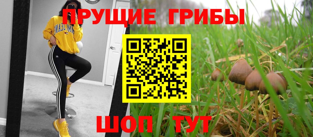 купить закладку  Галлюциногенные грибы мицелий  Вход с VPN  Галлюциногенные грибы Magic Shrooms  Белая Калитва 